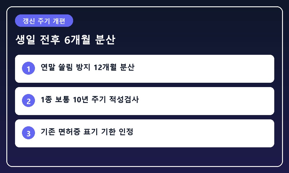 생일을 기점으로 앞뒤 6개월 총 12개월의 갱신 기간을 달력 타임라인으로 표현한 그래픽
