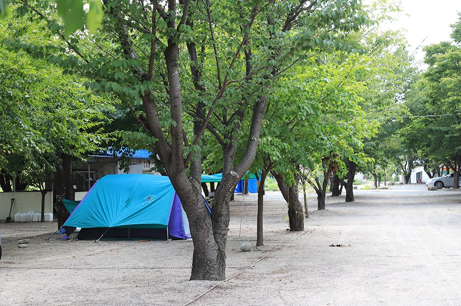 디지털 지도 화면에서 주변 주민센터와 보건소의 폐의약품 수거함 위치 핀을 검색하는 스마트폰 화면 일러스트
